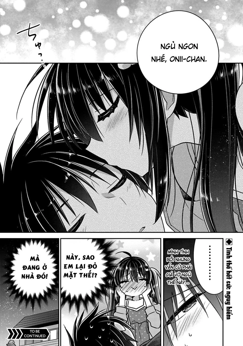 Siscon Ani To Brocon Imouto Ga Shoujiki Ni Nattara Chapter 19 - 12