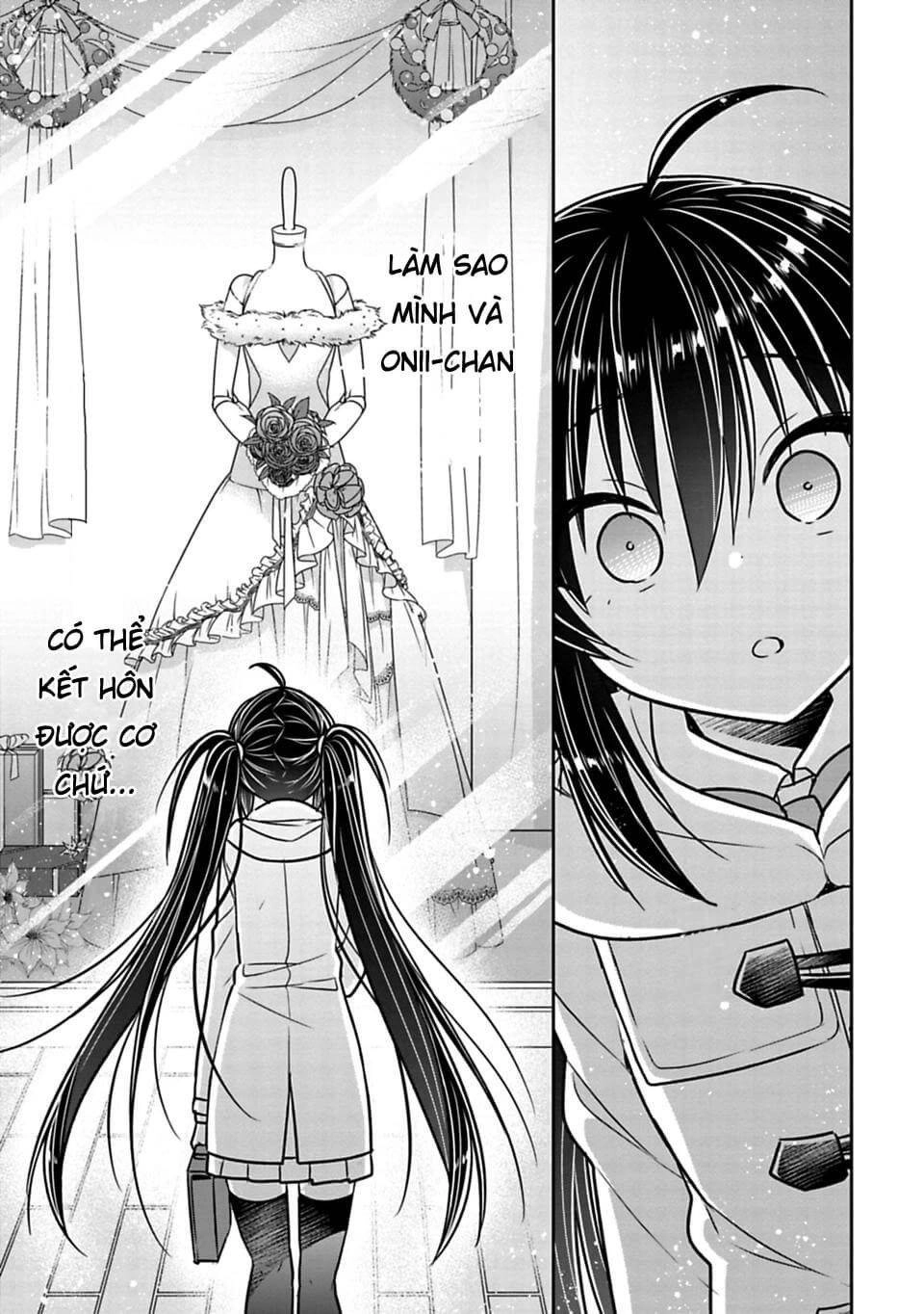 Siscon Ani To Brocon Imouto Ga Shoujiki Ni Nattara Chapter 28 - 8