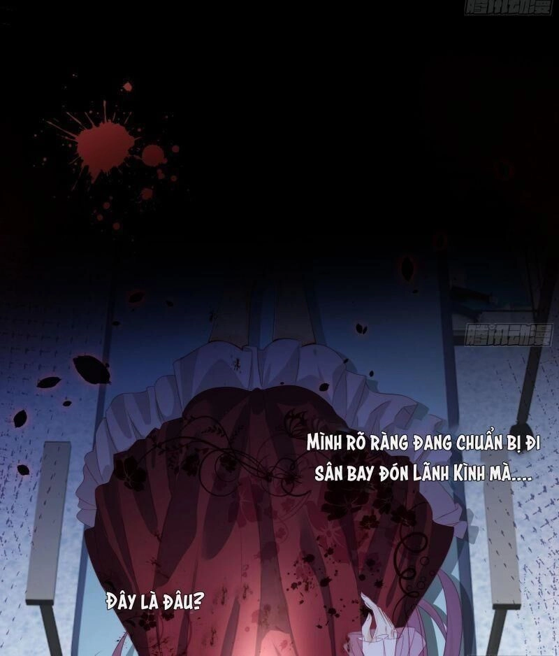 Đế Thiếu Điềm Hôn: Vợ Yêu Trùng Sinh Không Ngoan Lắm Chapter 1 - 5