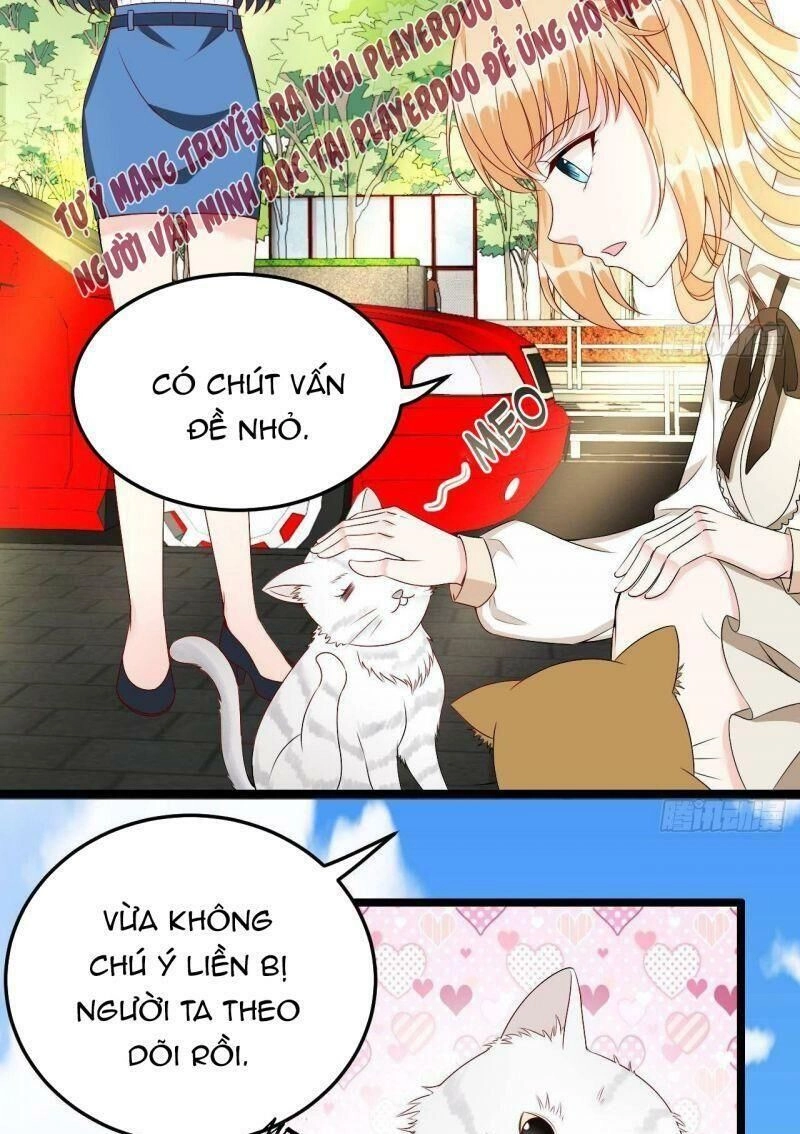 Đế Thiếu Điềm Hôn: Vợ Yêu Trùng Sinh Không Ngoan Lắm Chapter 13 - 3