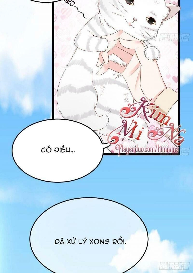 Đế Thiếu Điềm Hôn: Vợ Yêu Trùng Sinh Không Ngoan Lắm Chapter 13 - 4