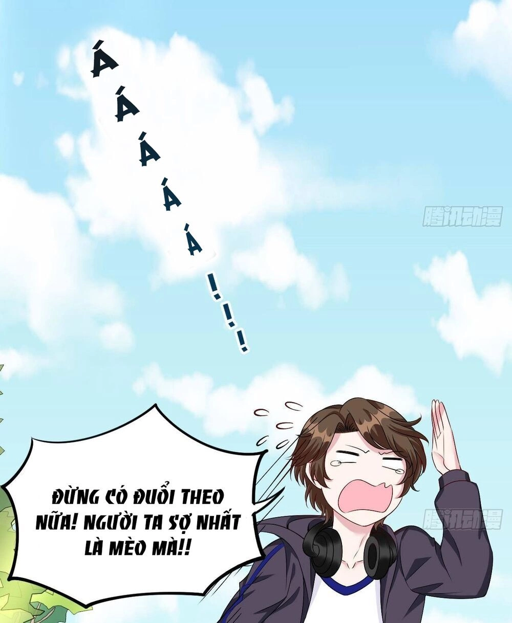 Đế Thiếu Ngọt Sủng: Manh Thê Sống Lại Không Ngoan Chapter 13 - 5