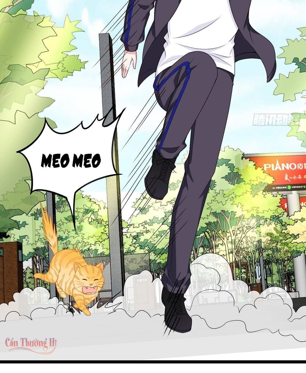 Đế Thiếu Ngọt Sủng: Manh Thê Sống Lại Không Ngoan Chapter 13 - 6