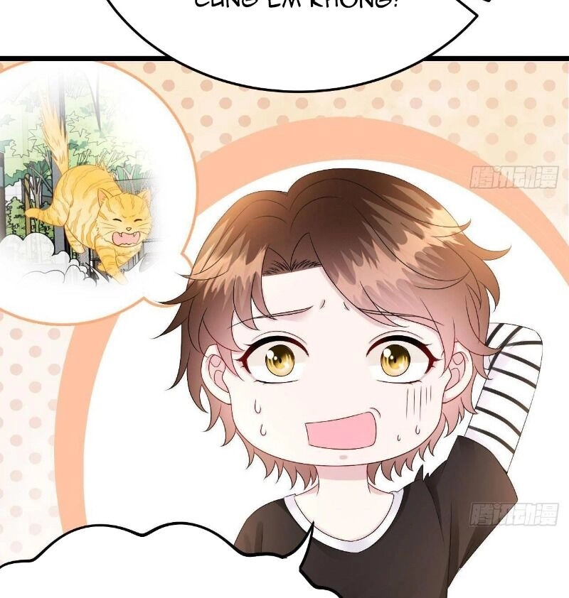 Đế Thiếu Ngọt Sủng: Manh Thê Sống Lại Không Ngoan Chapter 28 - 54