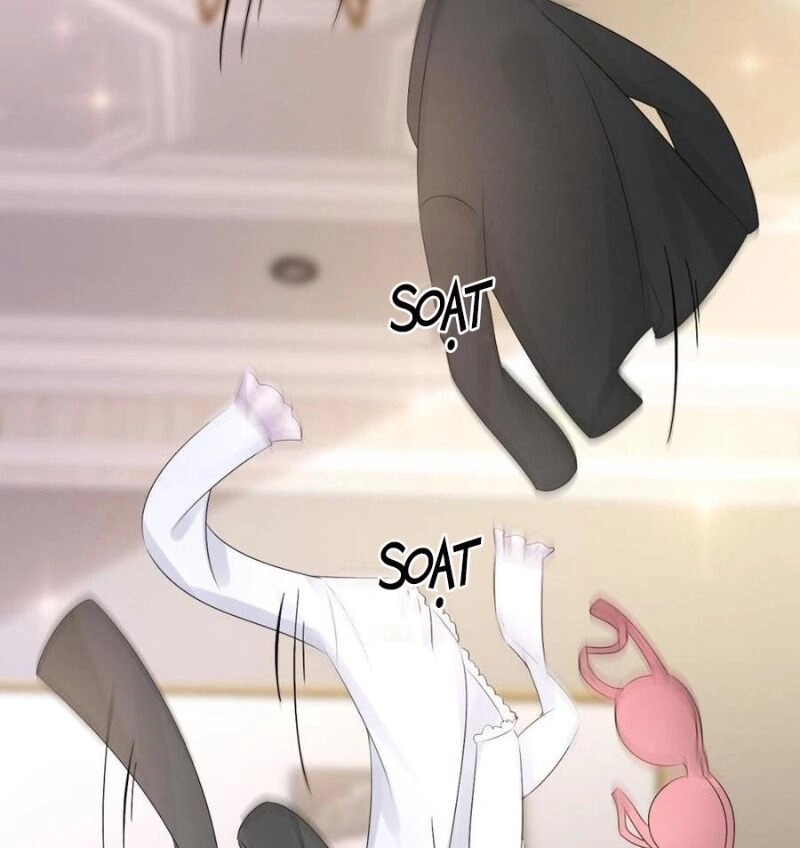 Đế Thiếu Ngọt Sủng: Manh Thê Sống Lại Không Ngoan Chapter 35 - 8