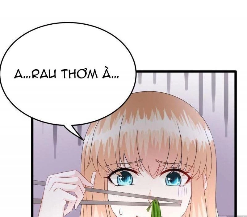 Đế Thiếu Ngọt Sủng: Manh Thê Sống Lại Không Ngoan Chapter 37 - 25