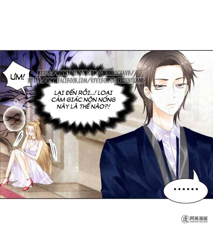 Tiền Thế Kim Sinh Của Chung Tiểu Thư Chapter 3 - 2