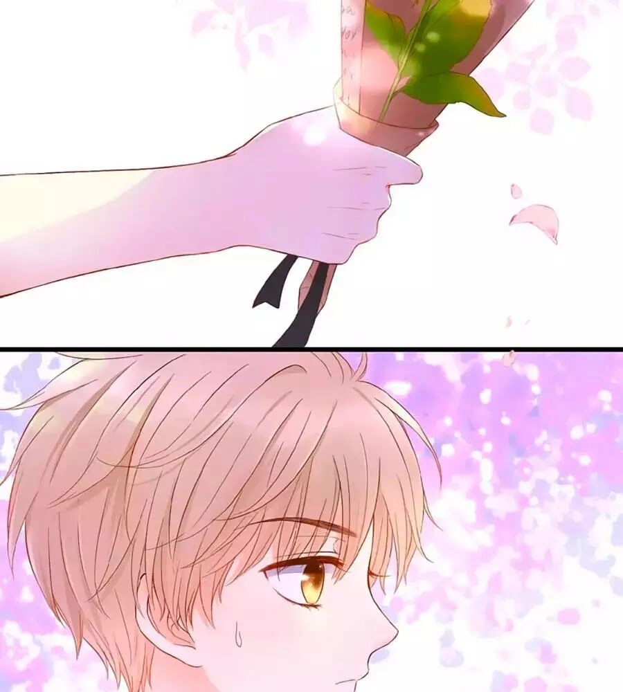 Đóa Hoa Chớm Nở Chapter 1 - 4