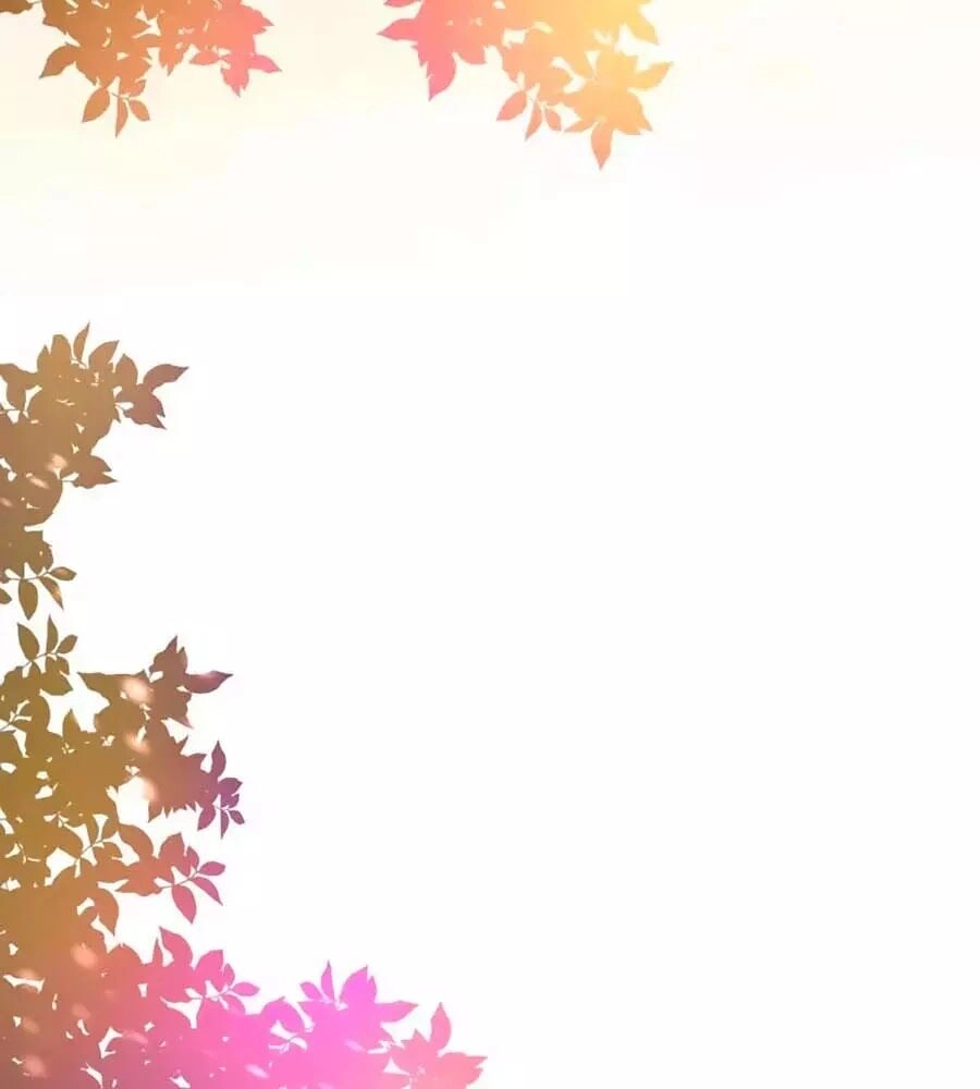 Đóa Hoa Chớm Nở Chapter 1 - 43