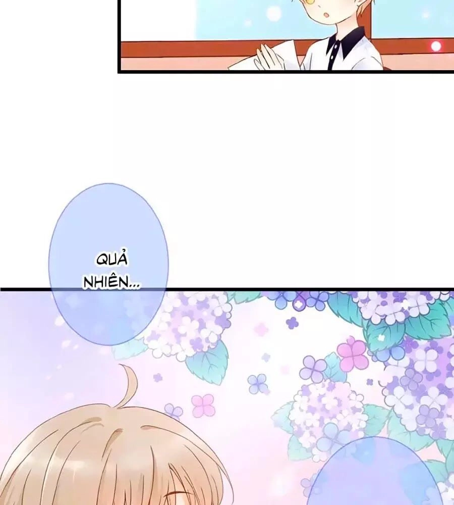 Đóa Hoa Chớm Nở Chapter 1 - 49