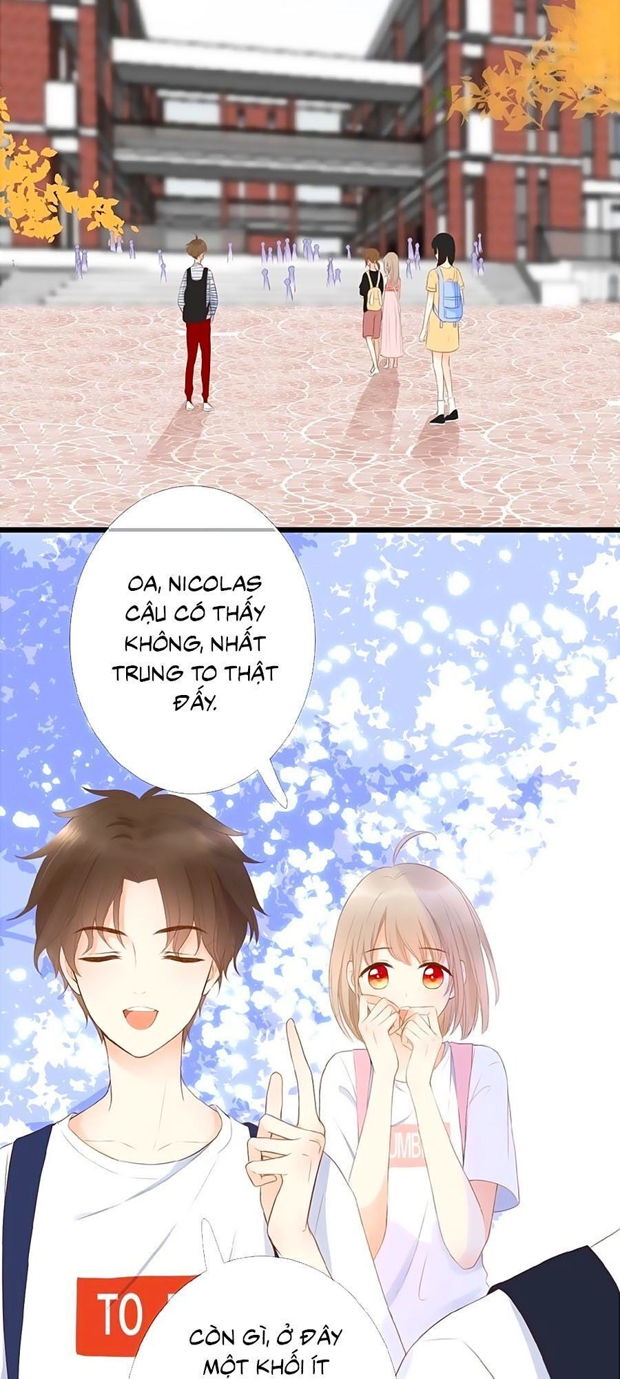 Đóa Hoa Chớm Nở Chapter 8 - 11