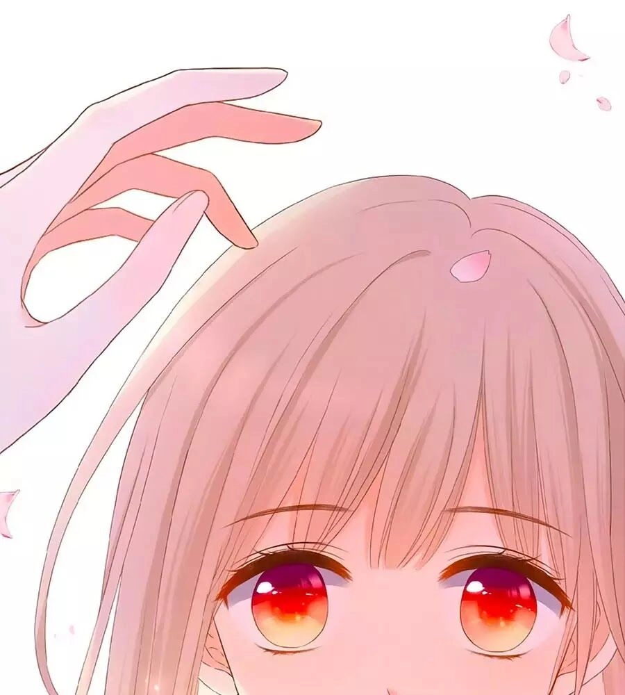 Đóa Hoa Chớm Nở Chapter 19 - 21