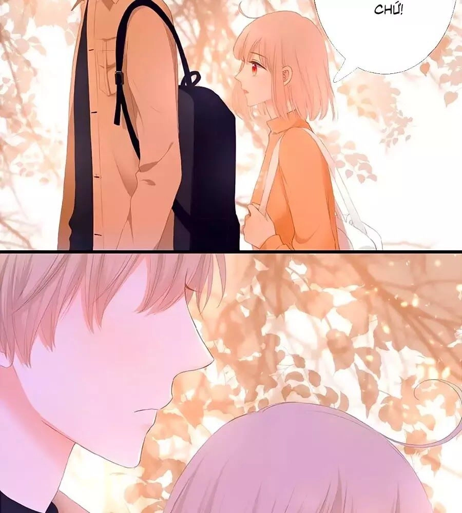 Đóa Hoa Chớm Nở Chapter 23 - 6