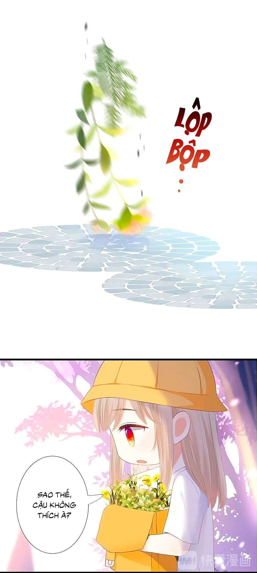 Đóa Hoa Chớm Nở Chapter 39.6 - 11