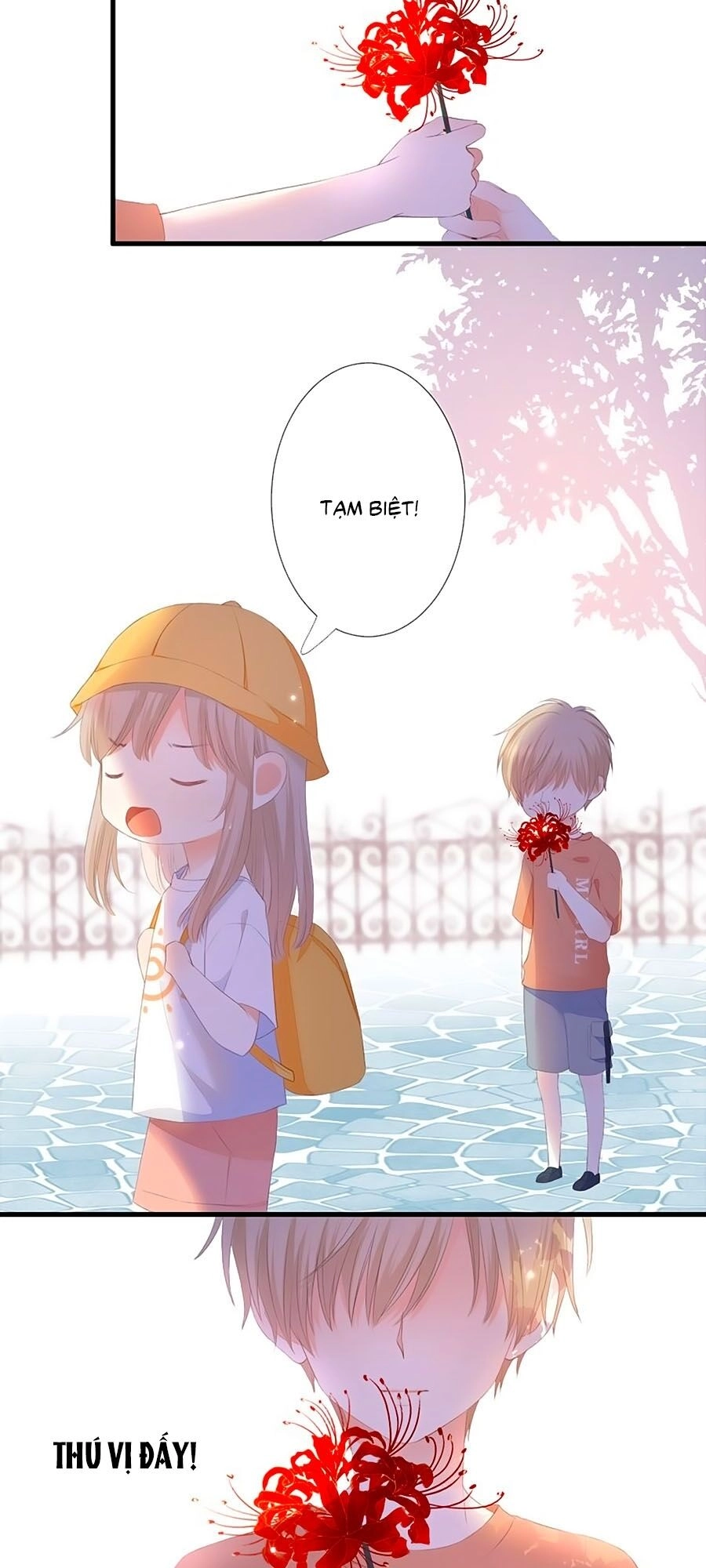 Đóa Hoa Chớm Nở Chapter 39.6 - 23