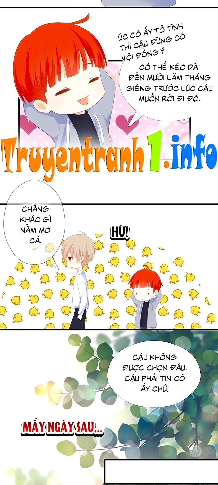 Đóa Hoa Chớm Nở Chapter 61 - 15