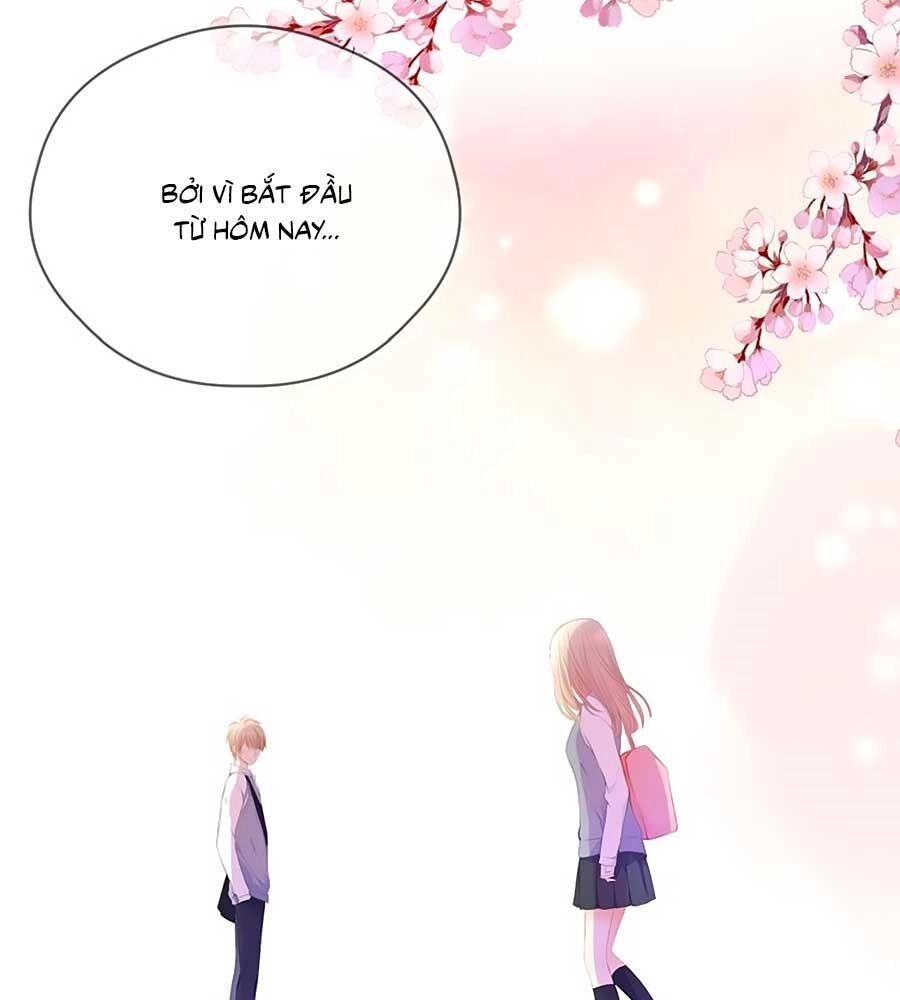 Đóa Hoa Chớm Nở Chapter 66 - 4