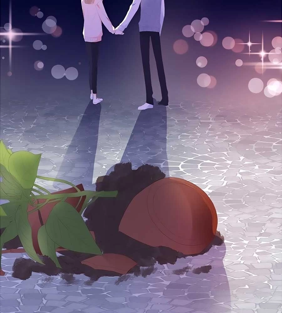 Đóa Hoa Chớm Nở Chapter 67 - 52