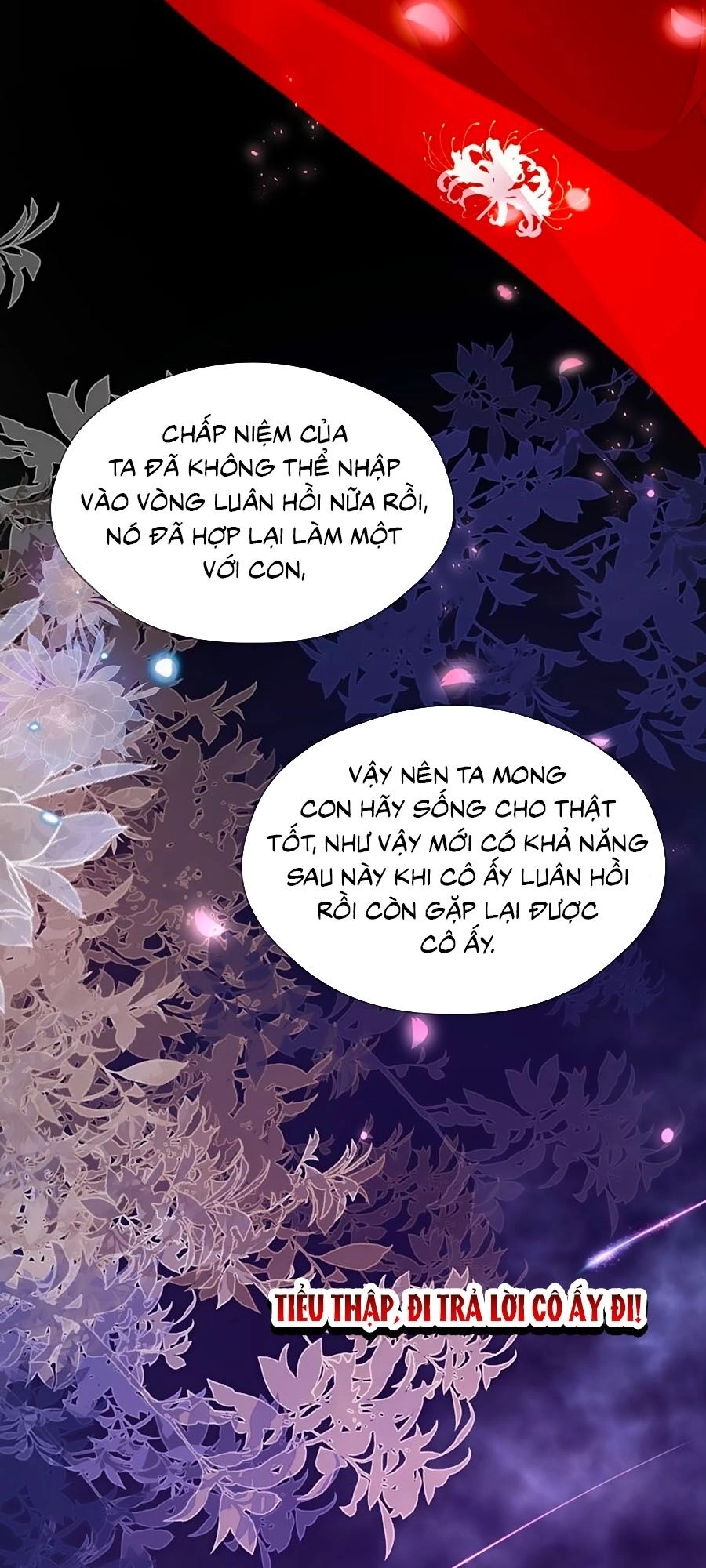 Đóa Hoa Chớm Nở Chapter 71 - 27
