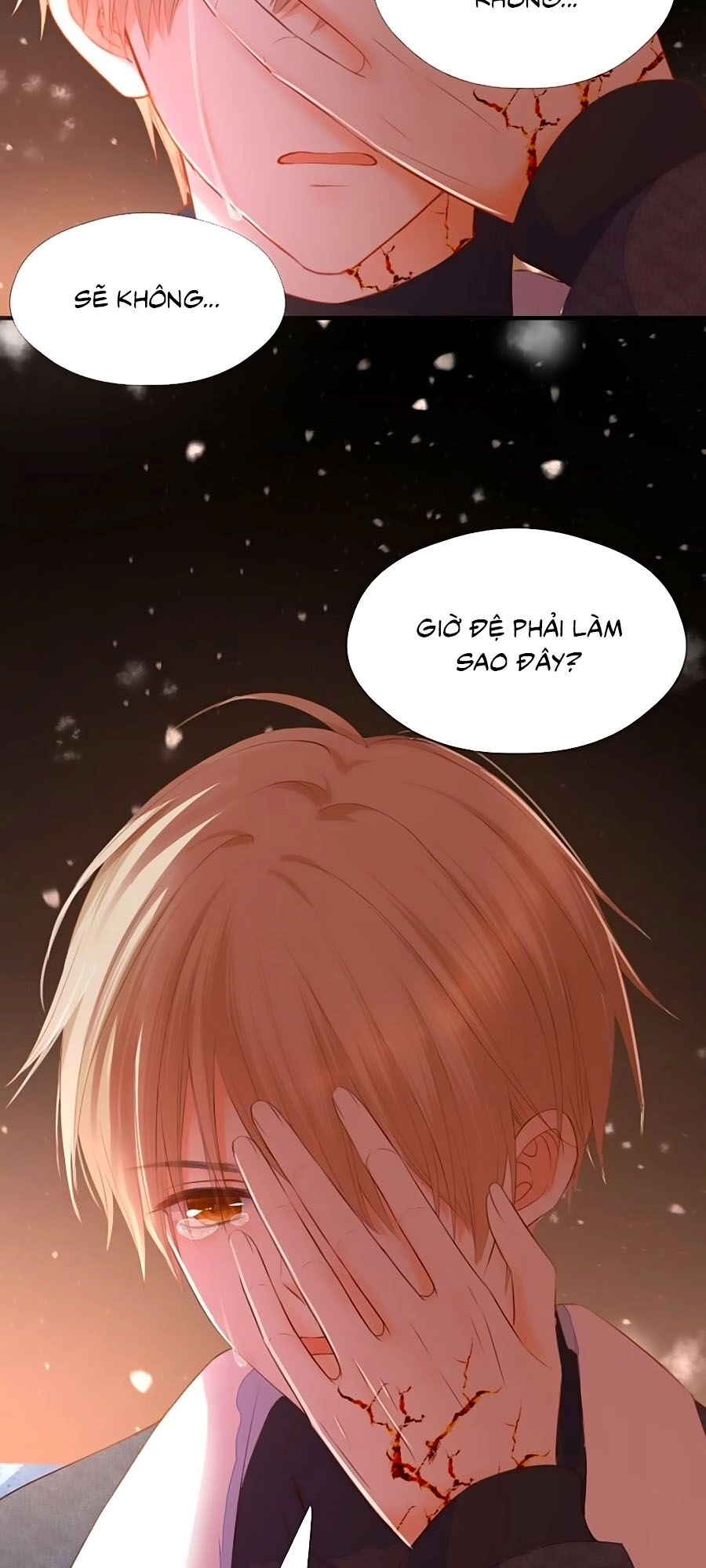 Đóa Hoa Chớm Nở Chapter 74 - 9