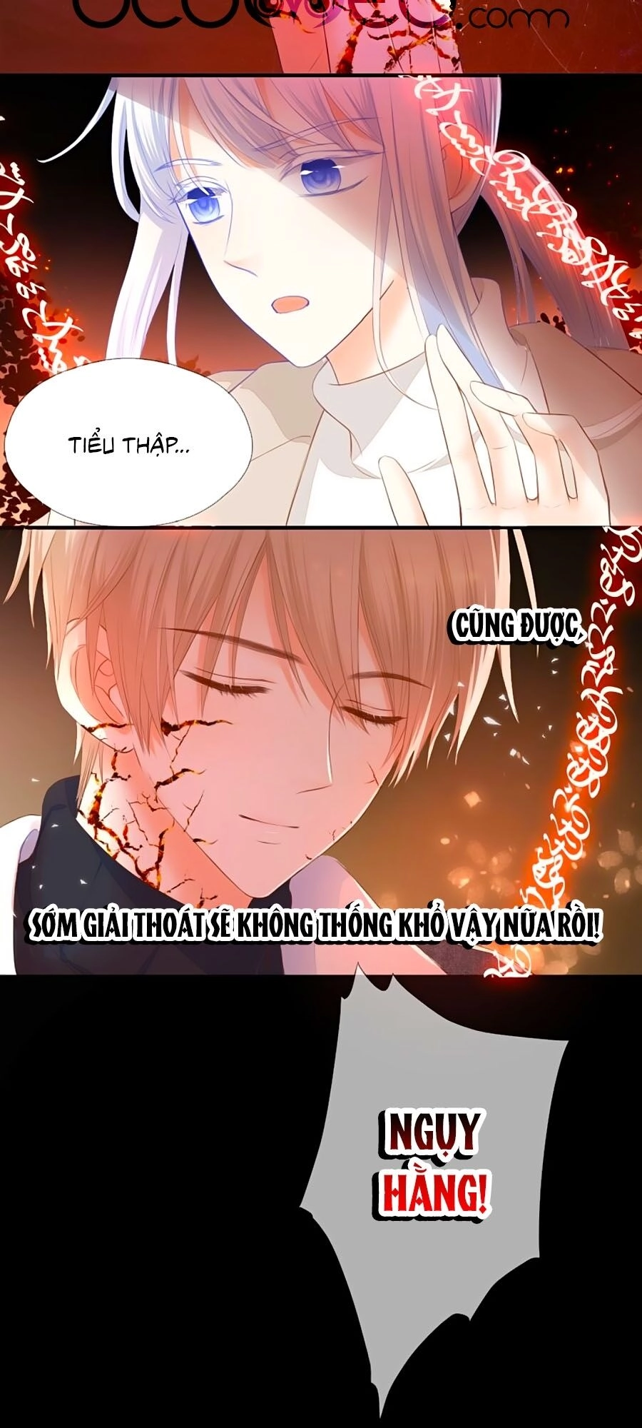 Đóa Hoa Chớm Nở Chapter 74 - 22