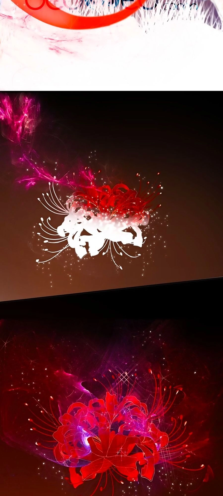 Đóa Hoa Chớm Nở Chapter 74 - 43