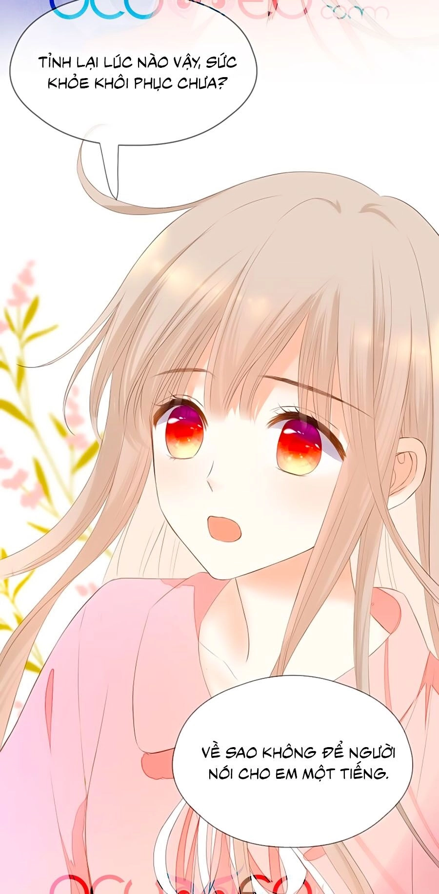 Đóa Hoa Chớm Nở Chapter 75 - 19