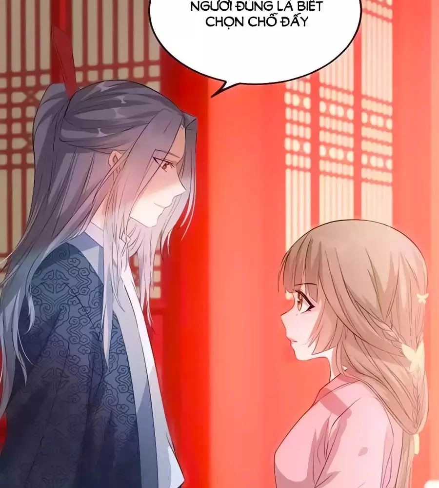 Gian Phi Như Thử Đa Kiều Chapter 41 - 62