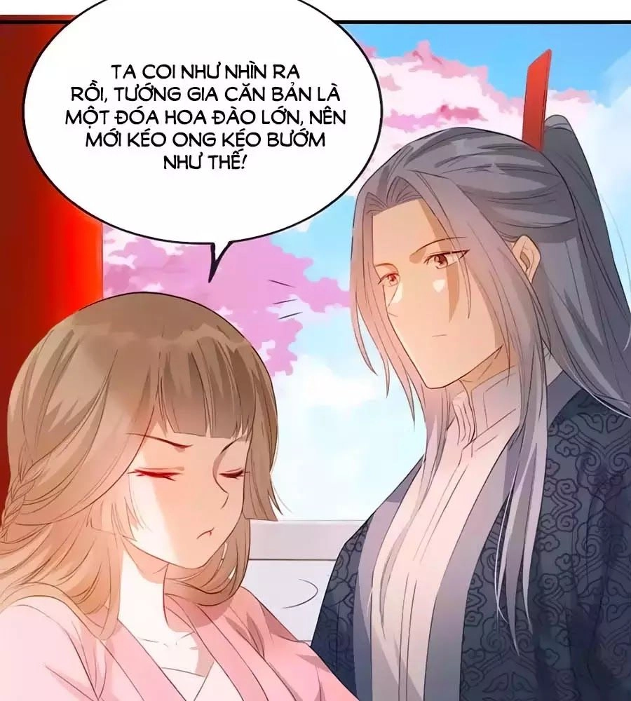 Gian Phi Như Thử Đa Kiều Chapter 41 - 66