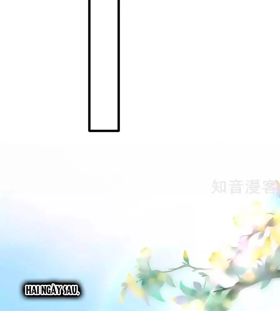 Gian Phi Như Thử Đa Kiều Chapter 67 - 41