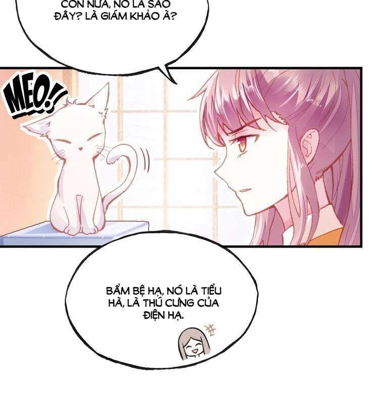 Trẫm Cũng Không Muốn Quá Khí Phách Chapter 8 - 6