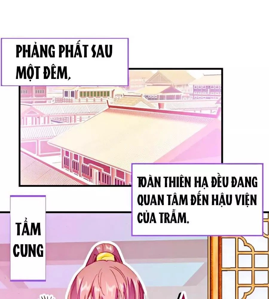 Trẫm Cũng Không Muốn Quá Khí Phách Chapter 16 - 1