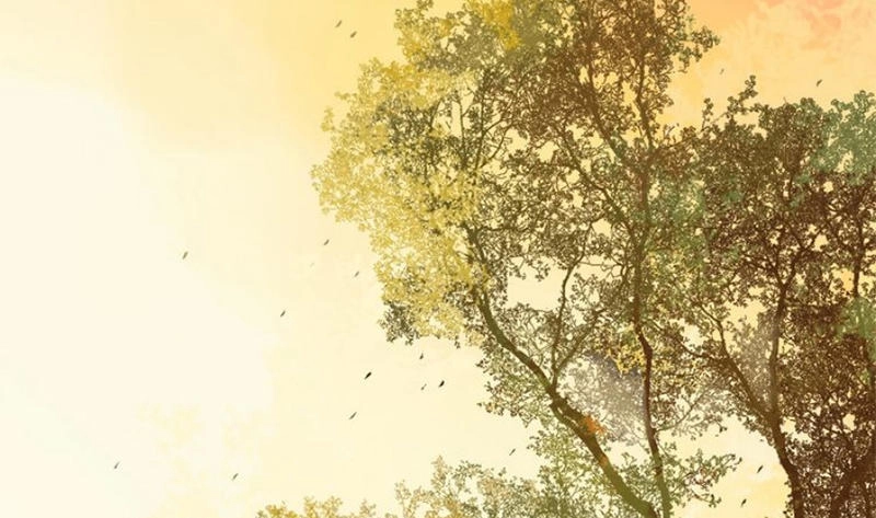 Phép Tắc Trường Ogus Chapter 9 - 22