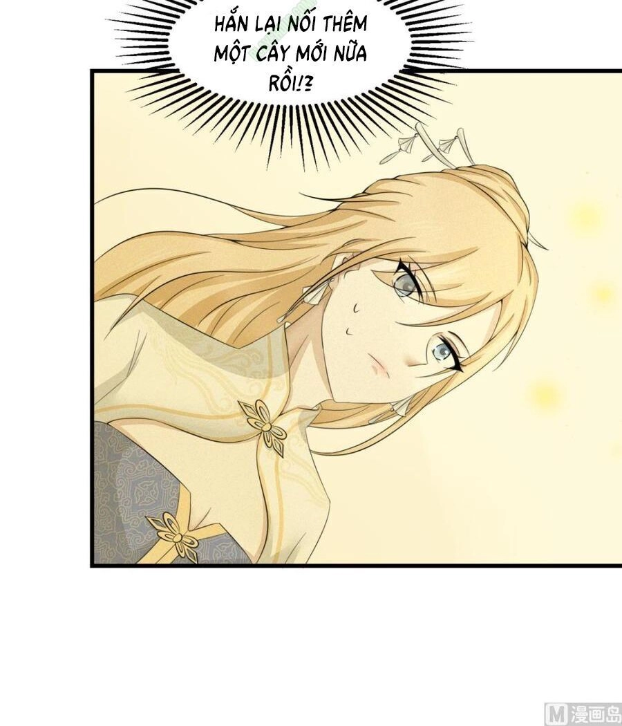 Cửu Dương Đế Tôn Chapter 31 - 14