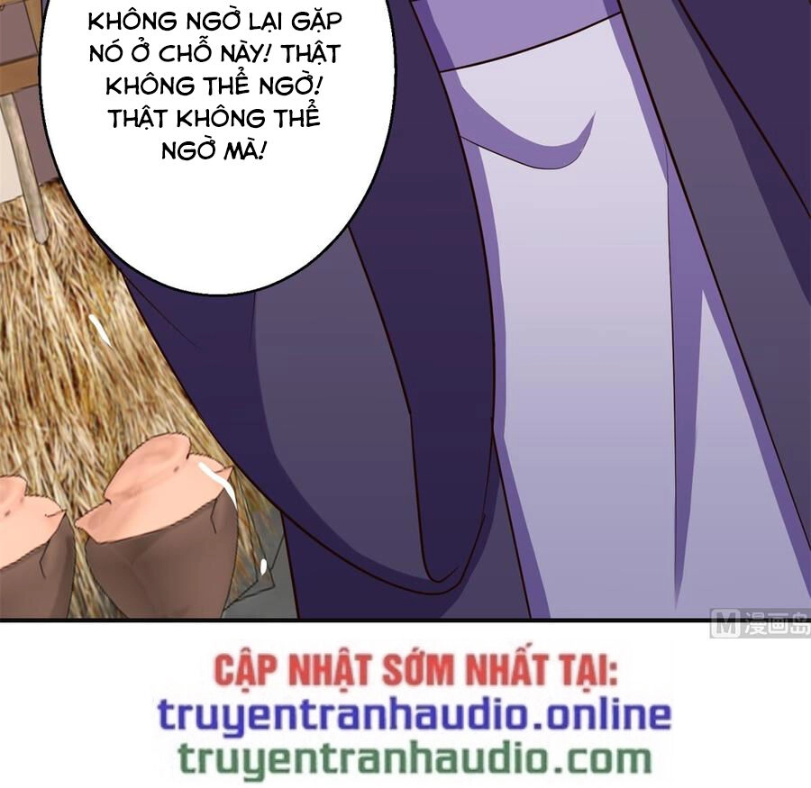 Cửu Dương Đế Tôn Chapter 186 - 11