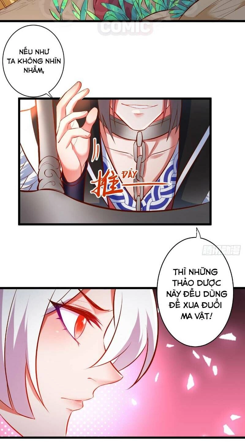 Trọng Sinh Tối Cường Ma Tôn Ở Rể Chapter 32 - 31