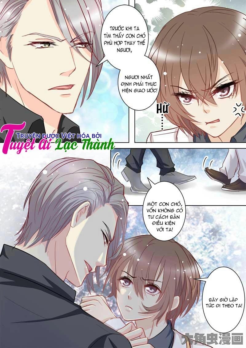 The Stars Are Not Luminous Body Chapter 41 - 2