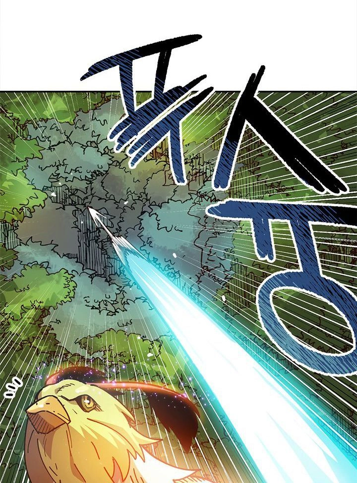 Đại Lục Vô Song Chapter 16 - 16