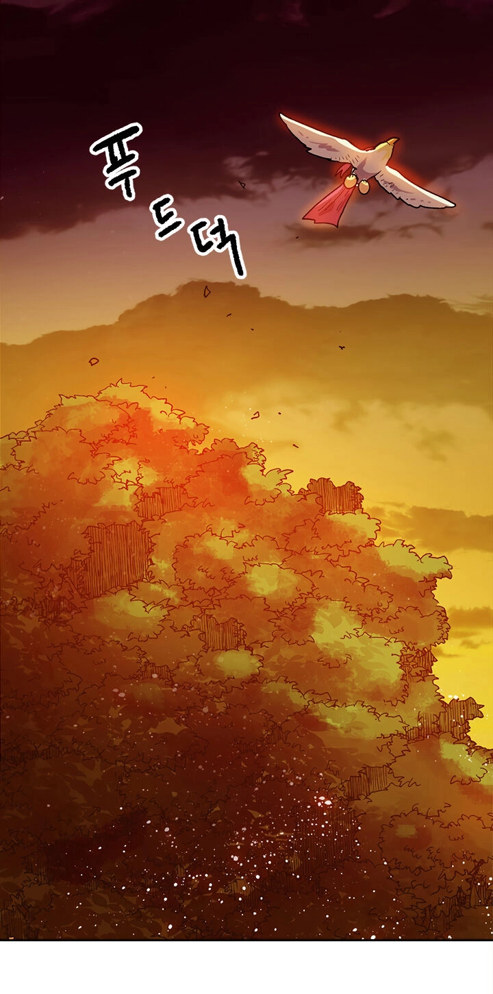 Đại Lục Vô Song Chapter 17 - 16