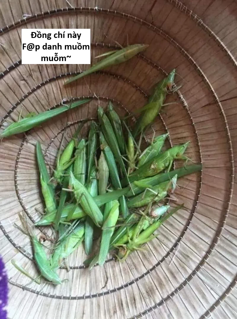 Ngay Cả Khi Hậu Tận Thế, Thật Hạnh Phúc Vẫn Còn Được Sống... Chapter 51.1 - 19