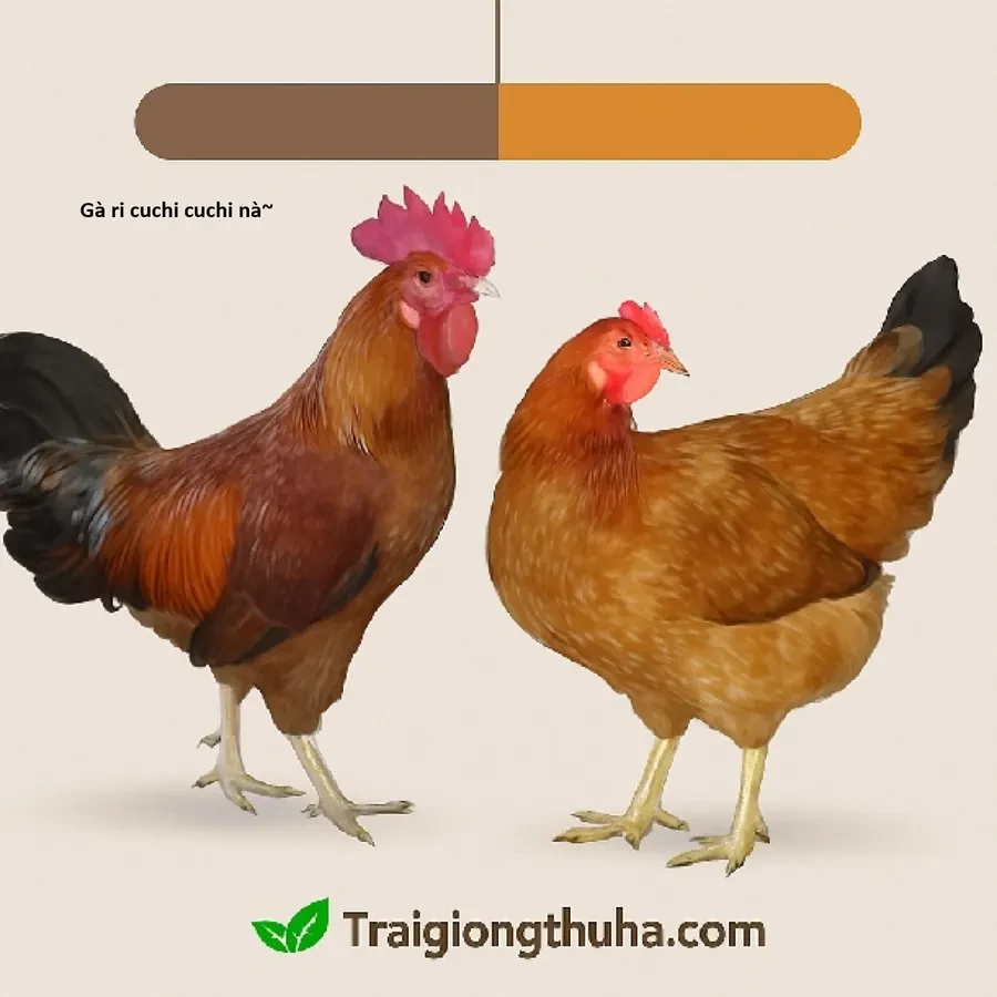 Ngay Cả Khi Hậu Tận Thế, Thật Hạnh Phúc Vẫn Còn Được Sống... Chapter 51.1 - 20