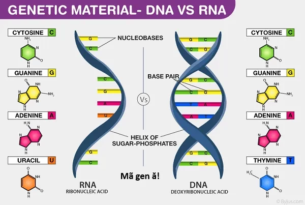 Ngay Cả Khi Hậu Tận Thế, Thật Hạnh Phúc Vẫn Còn Được Sống... Chapter 51.2 - 19