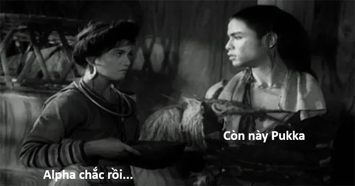 Ngay Cả Khi Hậu Tận Thế, Thật Hạnh Phúc Vẫn Còn Được Sống... Chapter 54.2 - 24