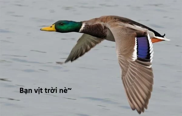 Ngay Cả Khi Hậu Tận Thế, Thật Hạnh Phúc Vẫn Còn Được Sống... Chapter 48.2 - 16