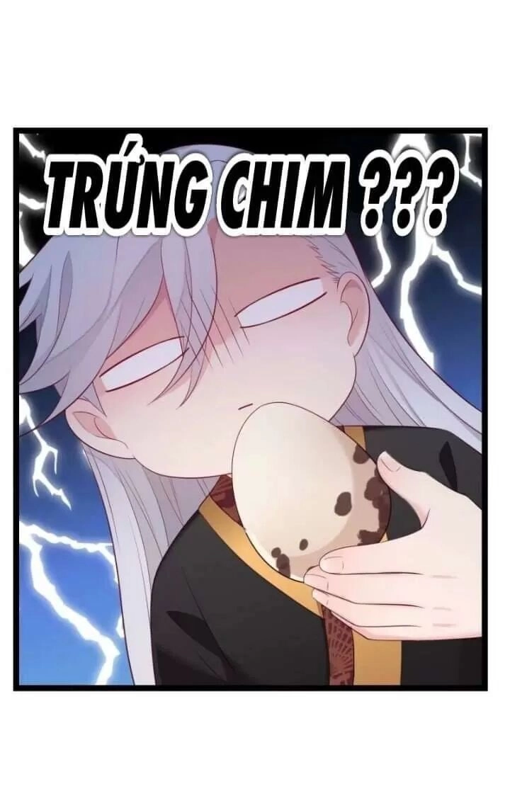 Ta Mới Không Gả Cho Hoàng Tử Phản Diện Chapter 10 - 38