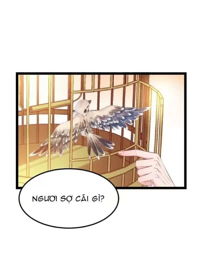 Ta Mới Không Gả Cho Hoàng Tử Phản Diện Chapter 11 - 9