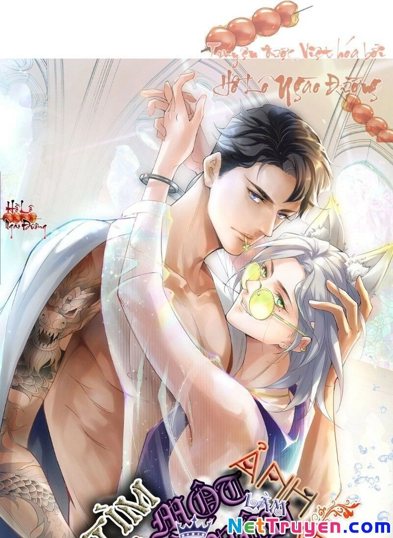 Ảnh Đế Yêu Hồ Chapter 16 - 1