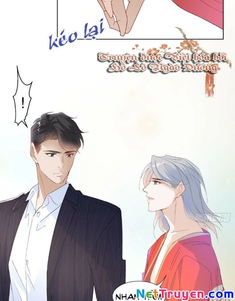 Ảnh Đế Yêu Hồ Chapter 16 - 14