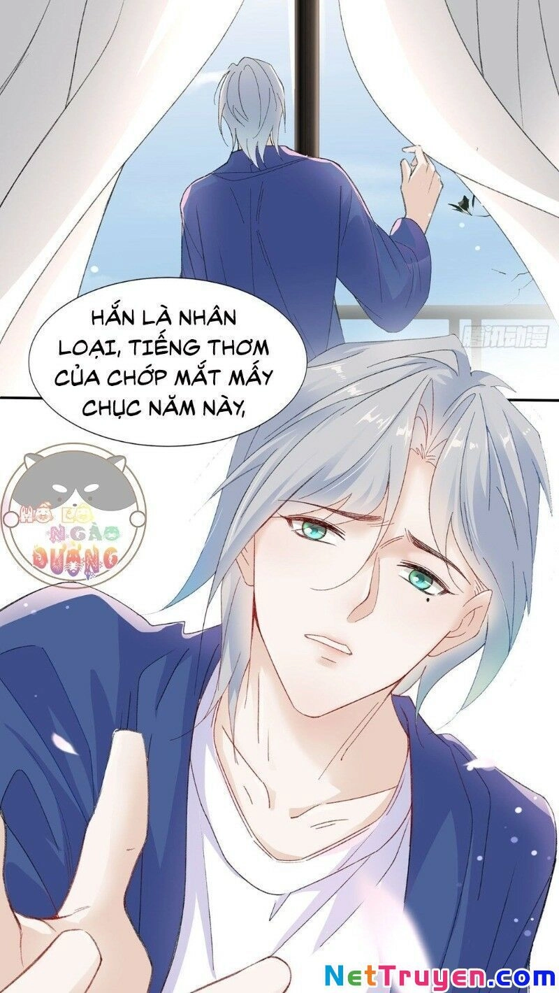 Ảnh Đế Yêu Hồ Chapter 21 - 10