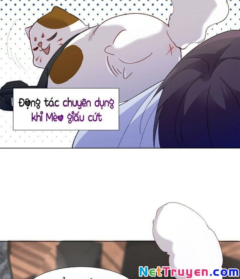 Ảnh Đế Yêu Hồ Chapter 24 - 14